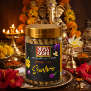 DIVYA KASHI